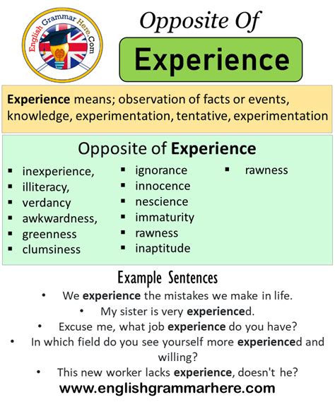 Antonyms of experience. Things To Know About Antonyms of experience. 